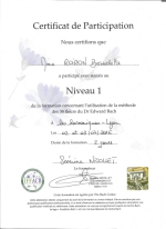 certificat bach Nadou niveau 1 petit.jpg (16079 octets)