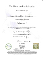 certificat bach Nadou niveau 2 petit.jpg (14636 octets)