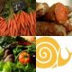 slowfood