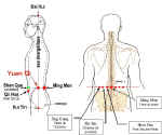 Image Ming Men